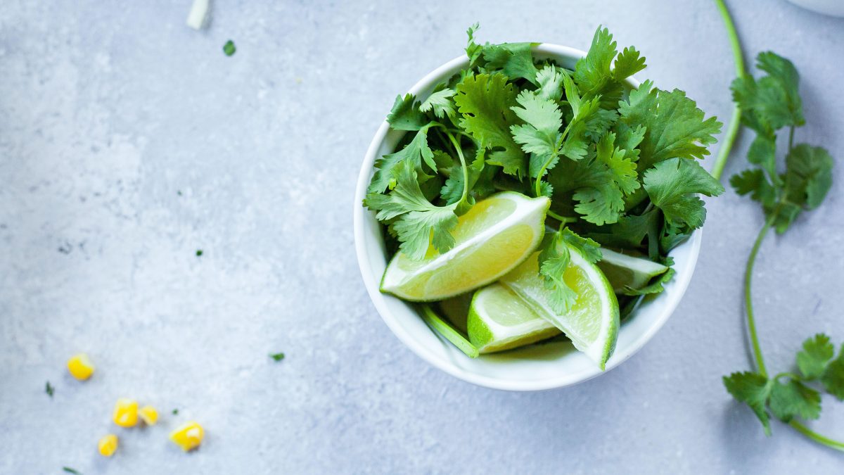 cilantro