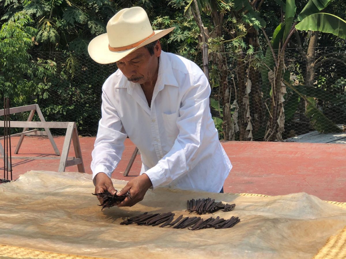 Papantla, Veracruz, vainilla