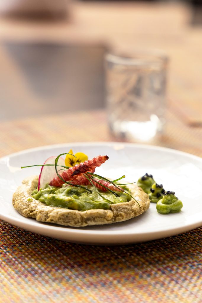 sope de gusano de maguey-chinicuiles