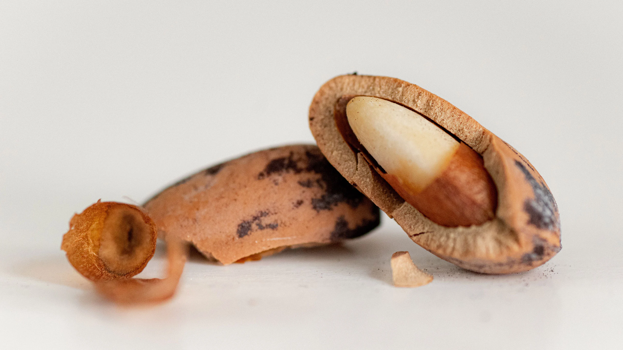 Piñones, conoce los beneficios de este selecto fruto