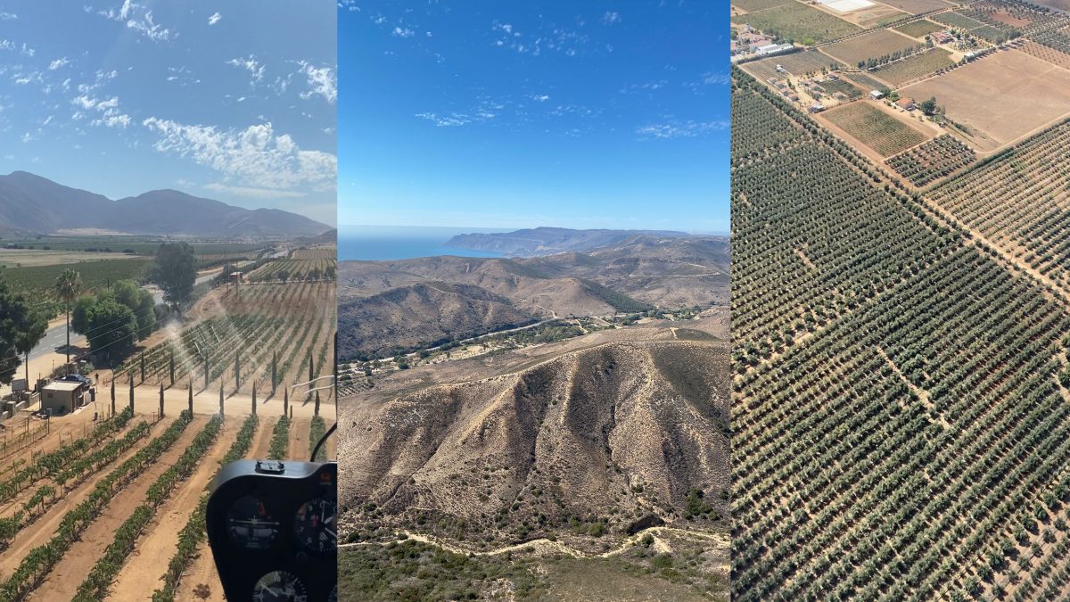 bodegas-domecq-helicoptero