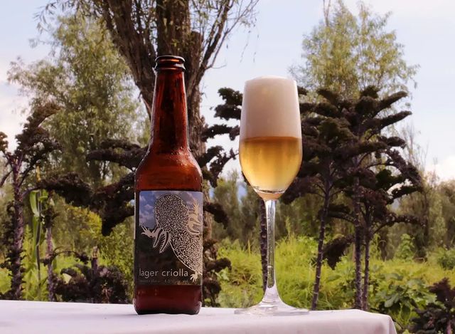 cerveza lager criolla-monstruo de agua