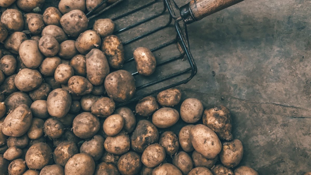 papas