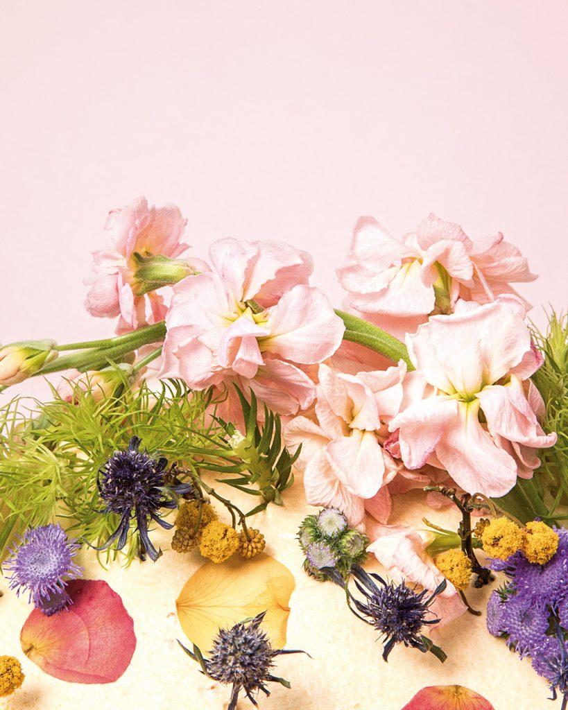 Jardines comestibles 2