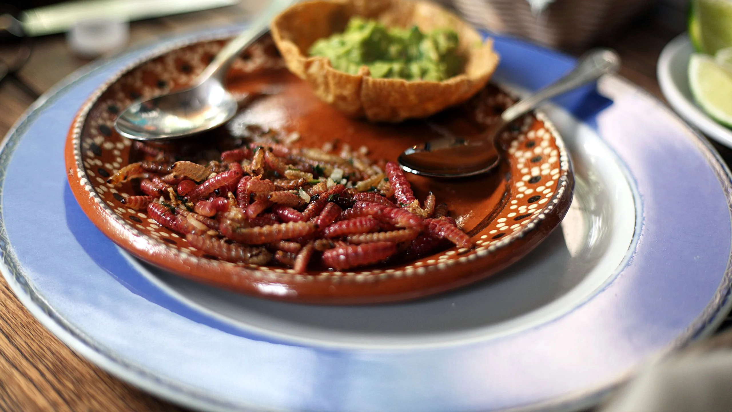 7 beneficios de comer chinicuiles o gusanos de maguey