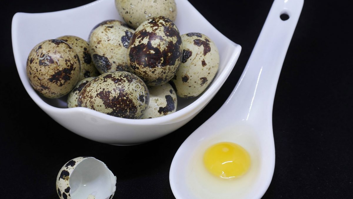 beneficios-huevos-codorniz