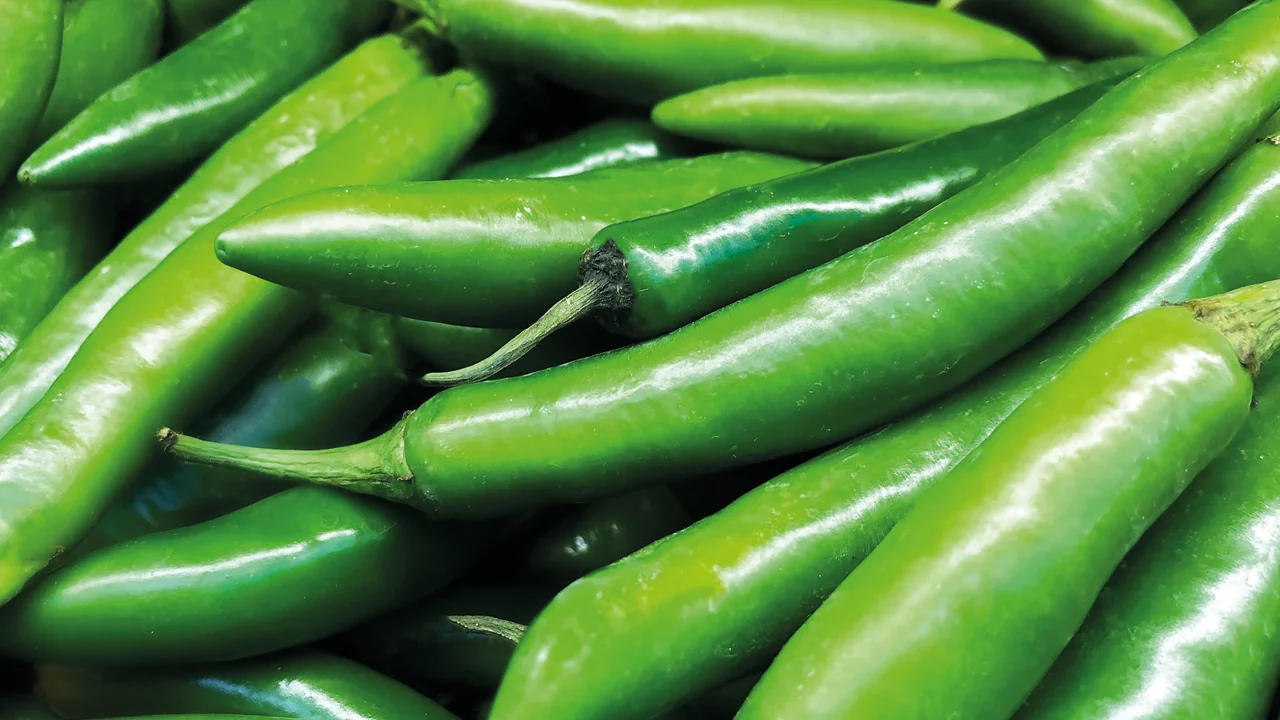 Astronautas de la NASA tienen una “noche de tacos” con chiles cultivados a bordo de la Estación Espacial