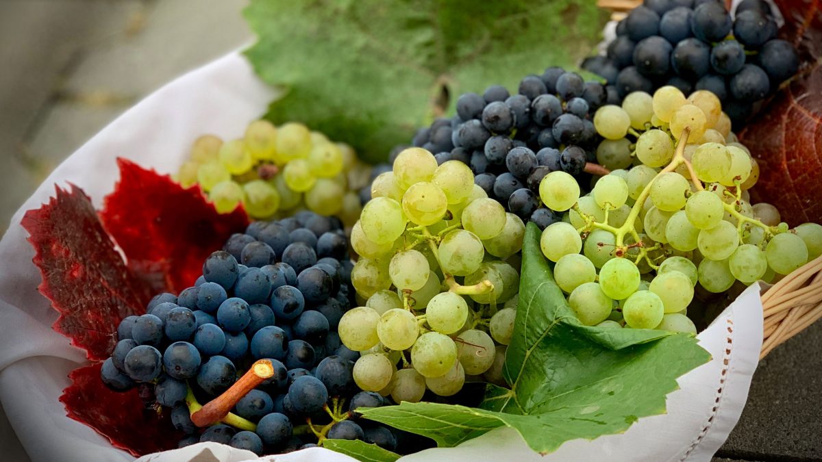 uvas-rojas-verdes