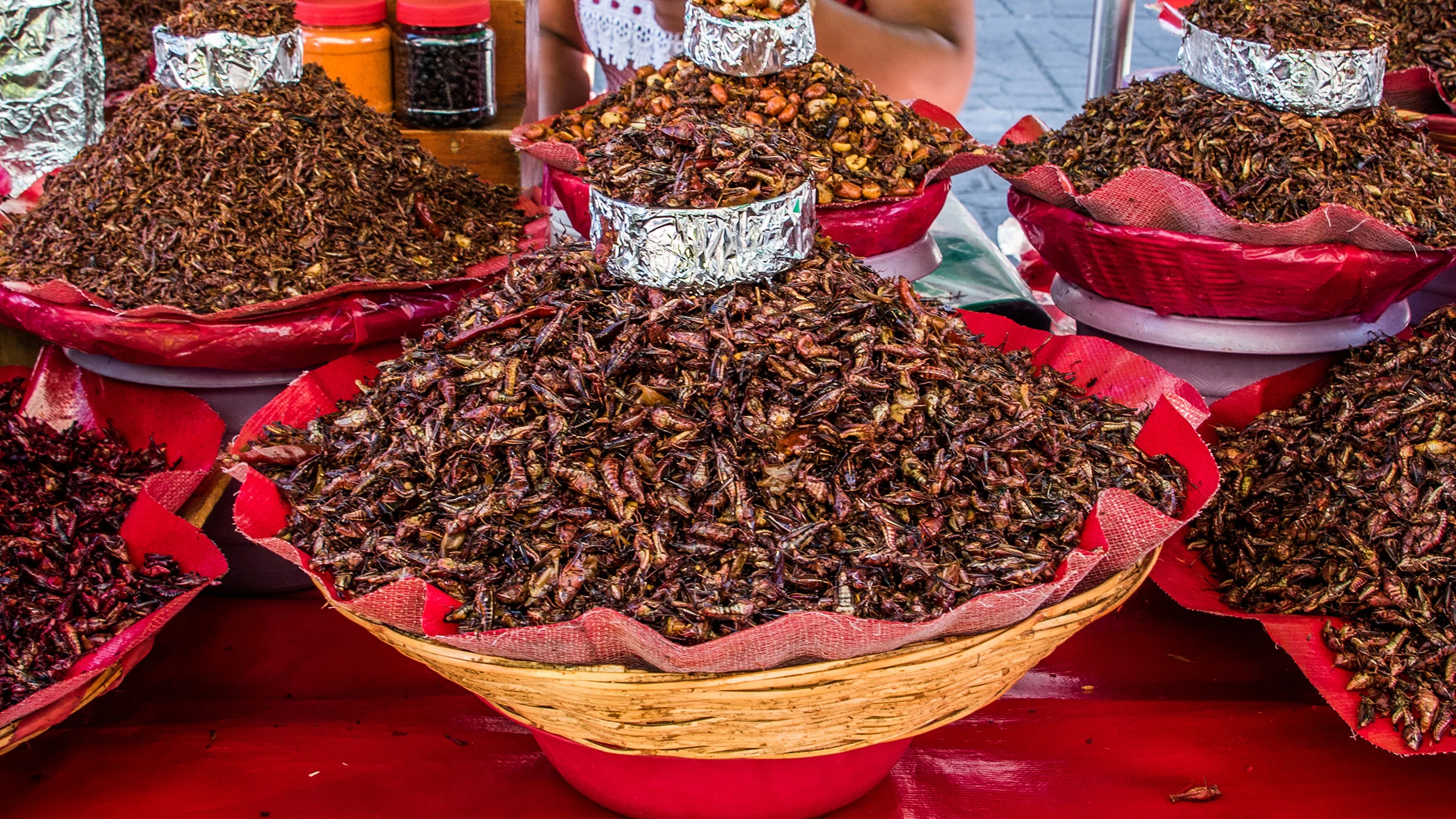 Chapulines, conoce los beneficios de este manjar prehispánico
