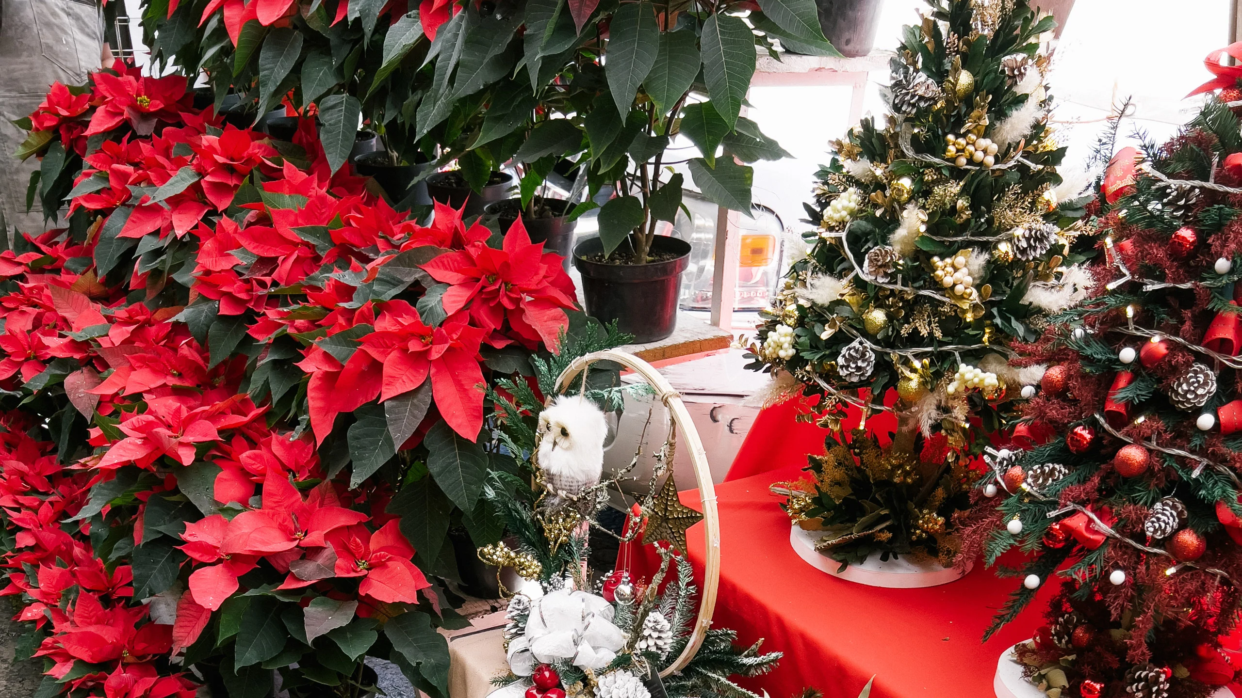 En este mercado está todo lo que necesitas para las fiestas navideñas