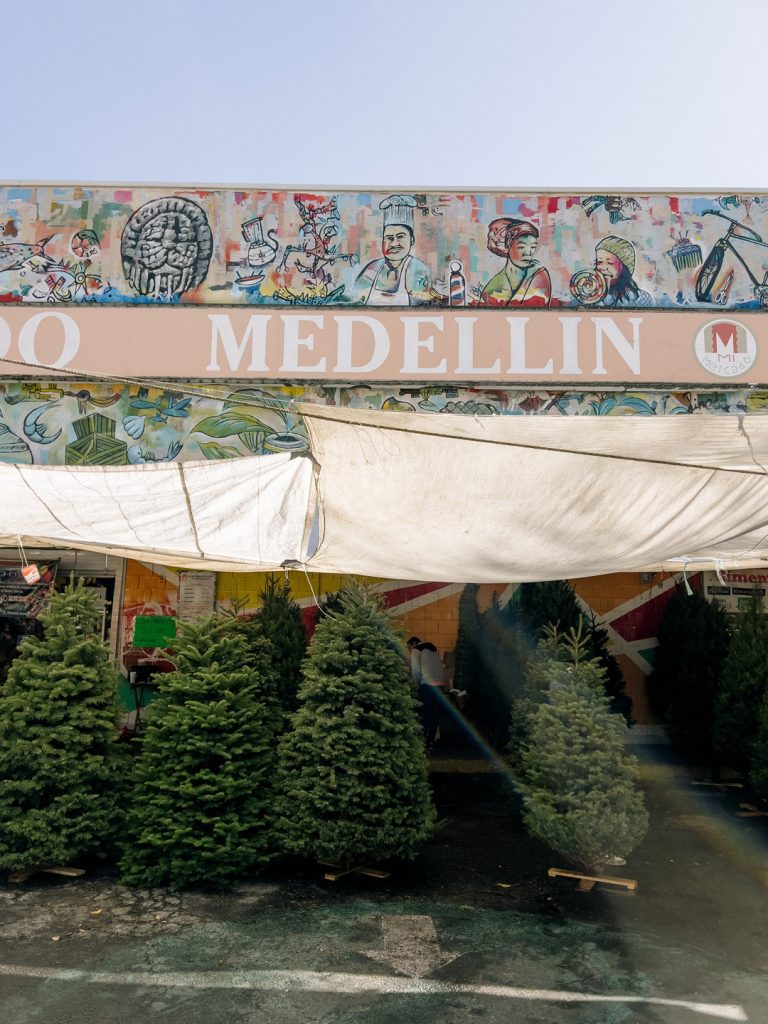 mercado-medellin2