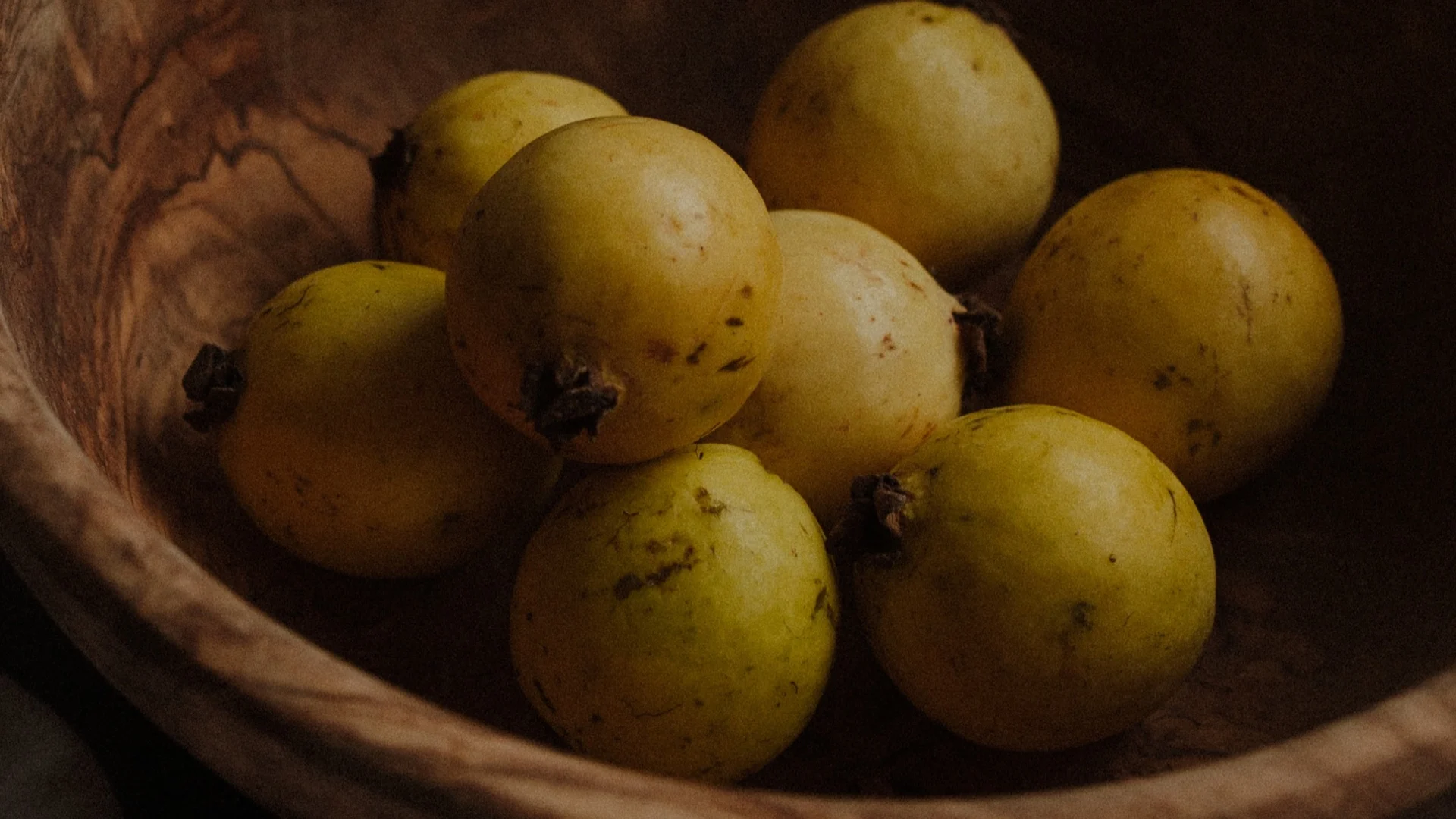 8 Beneficios de la hoja de guayaba y cómo aprovecharlos