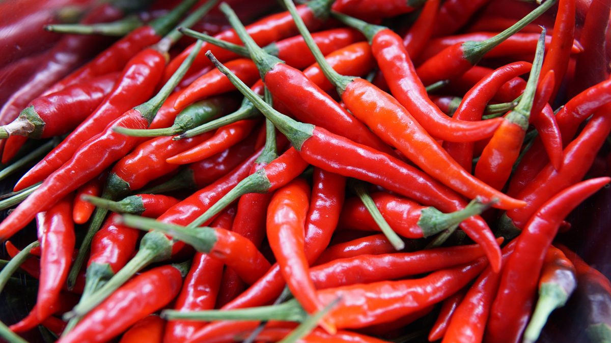 chiles