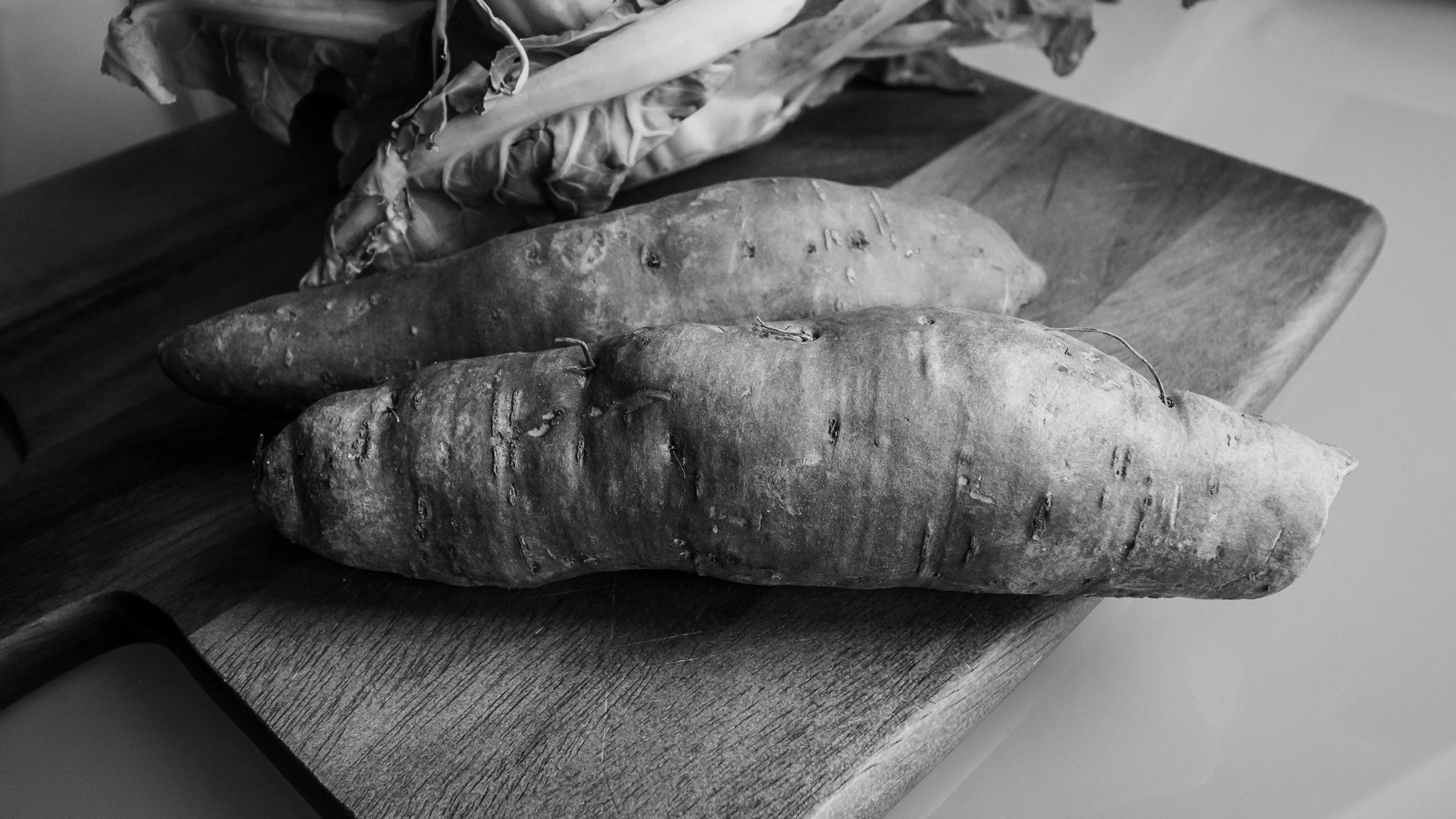 Chinchayote, la raíz mexicana que debes conocer y aprender a cocinar