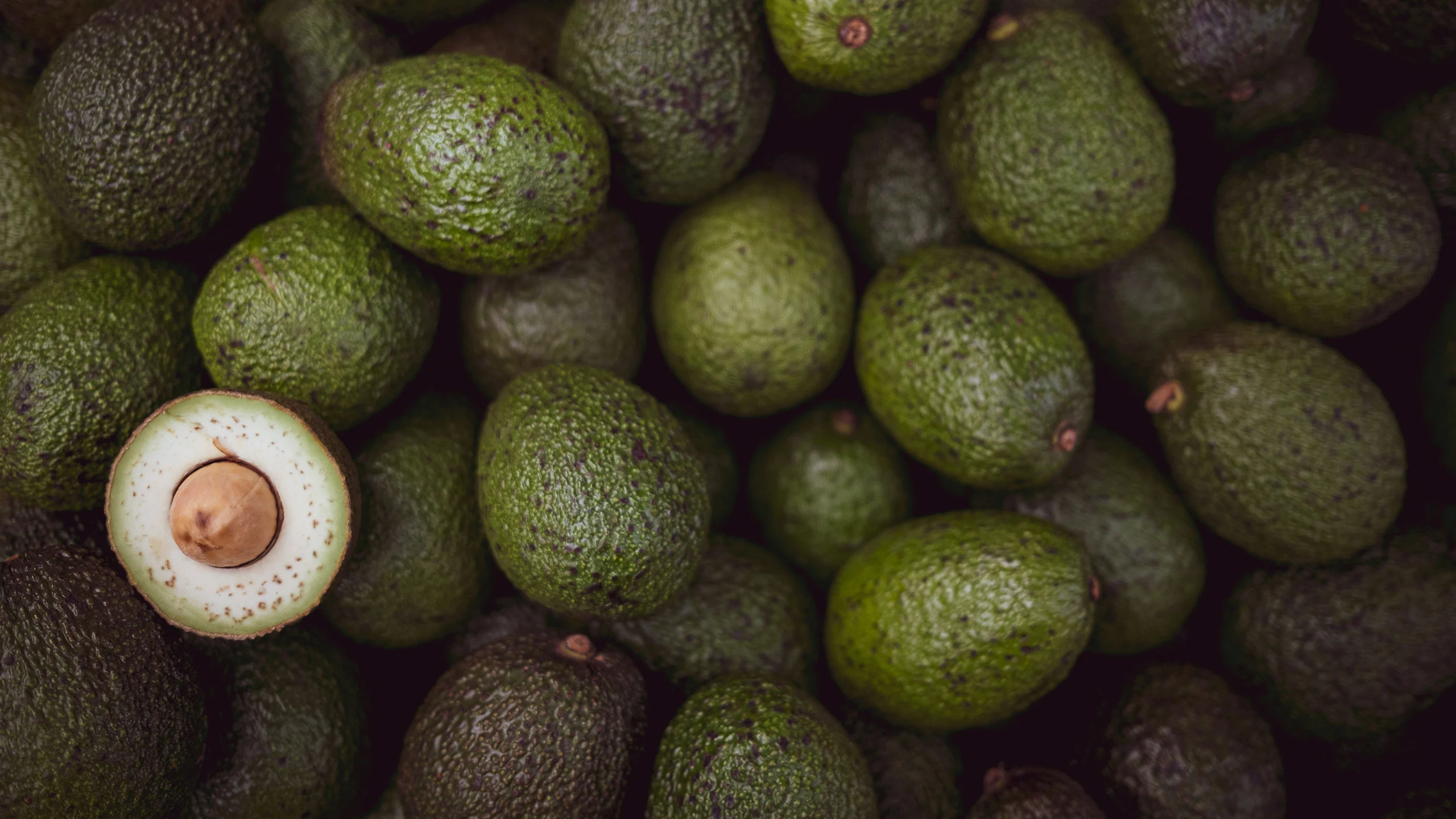 Estados Unidos reanuda las importaciones de aguacates mexicanos