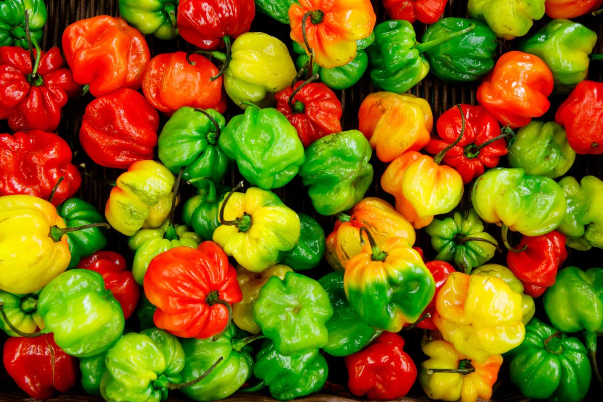 Salsas-de-habanero