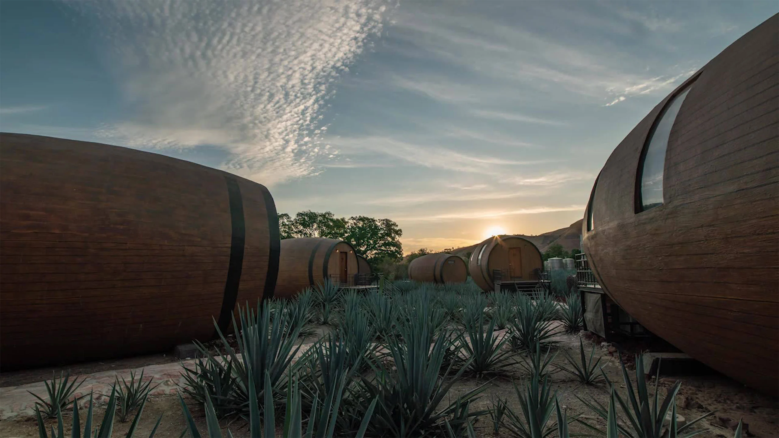 Duerme dentro de una barrica gigante en el Pueblo Mágico de Tequila