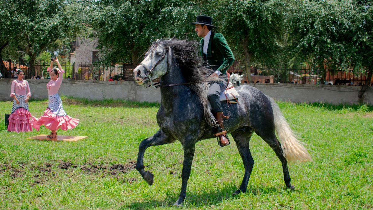 Tlaxcala-2