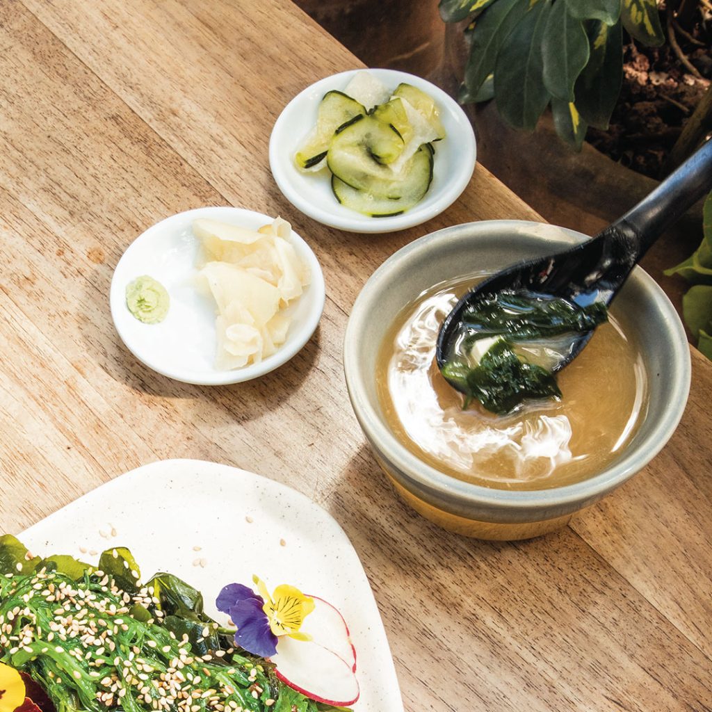 sopa-kelp