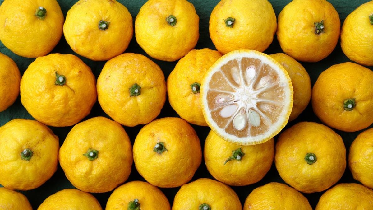 yuzu-ingrediente-japones-antiedad-1280x720x80xX