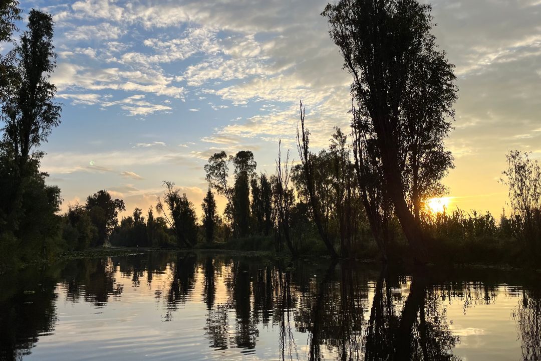 Amanecer en las chinampas de xochimilco 