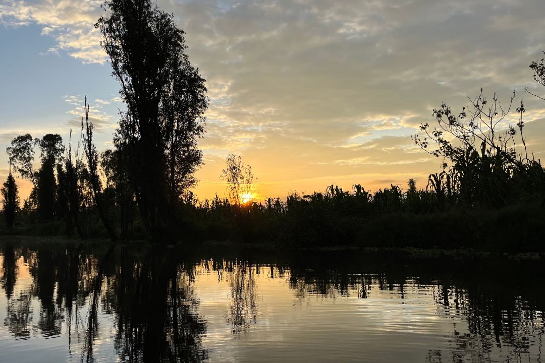Amanecer en las chinampas de xochimilco 