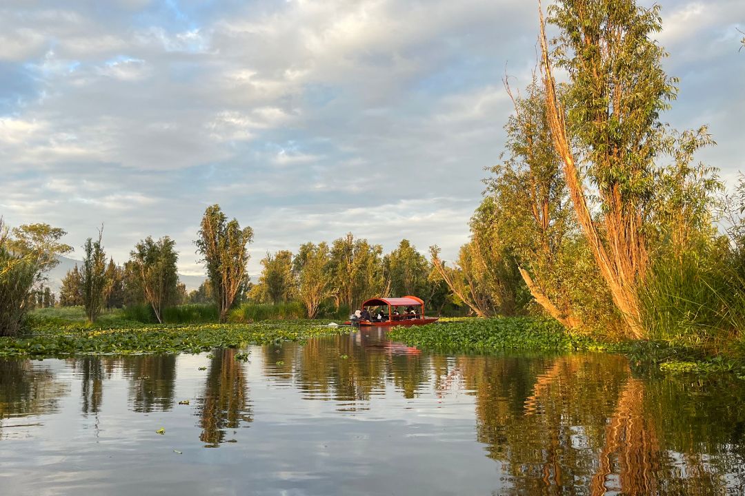 Amanecer en las chinampas -Arca Tierra- Xochimilco