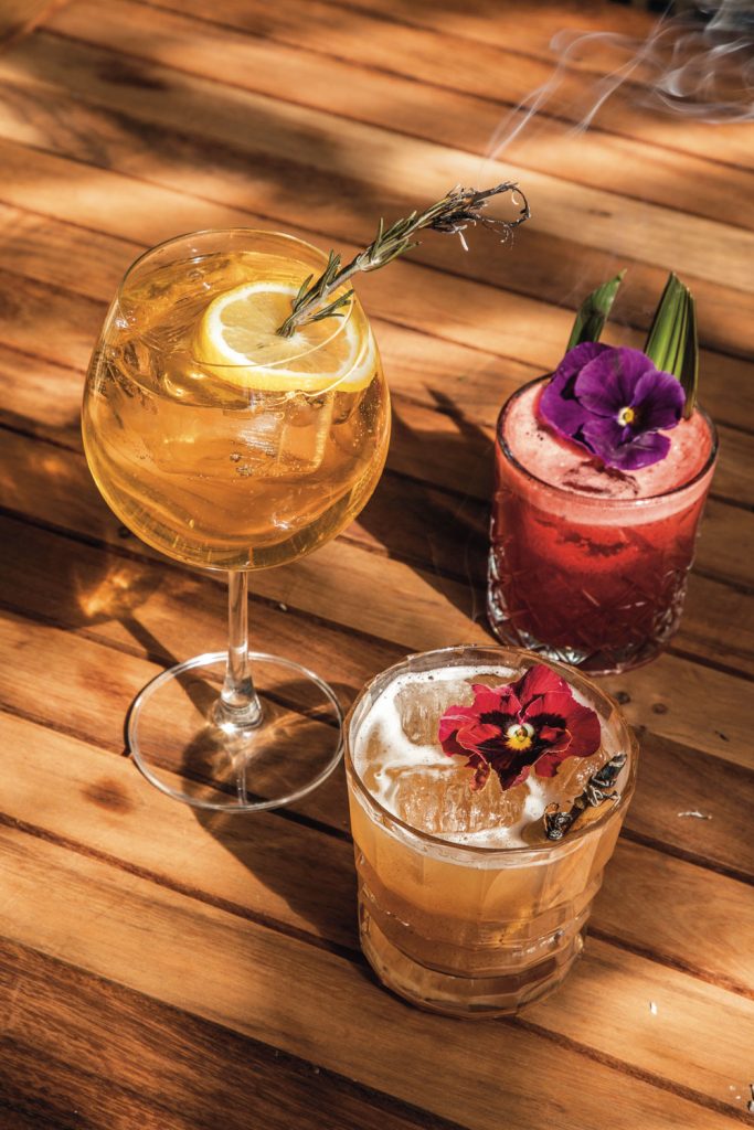 coctel