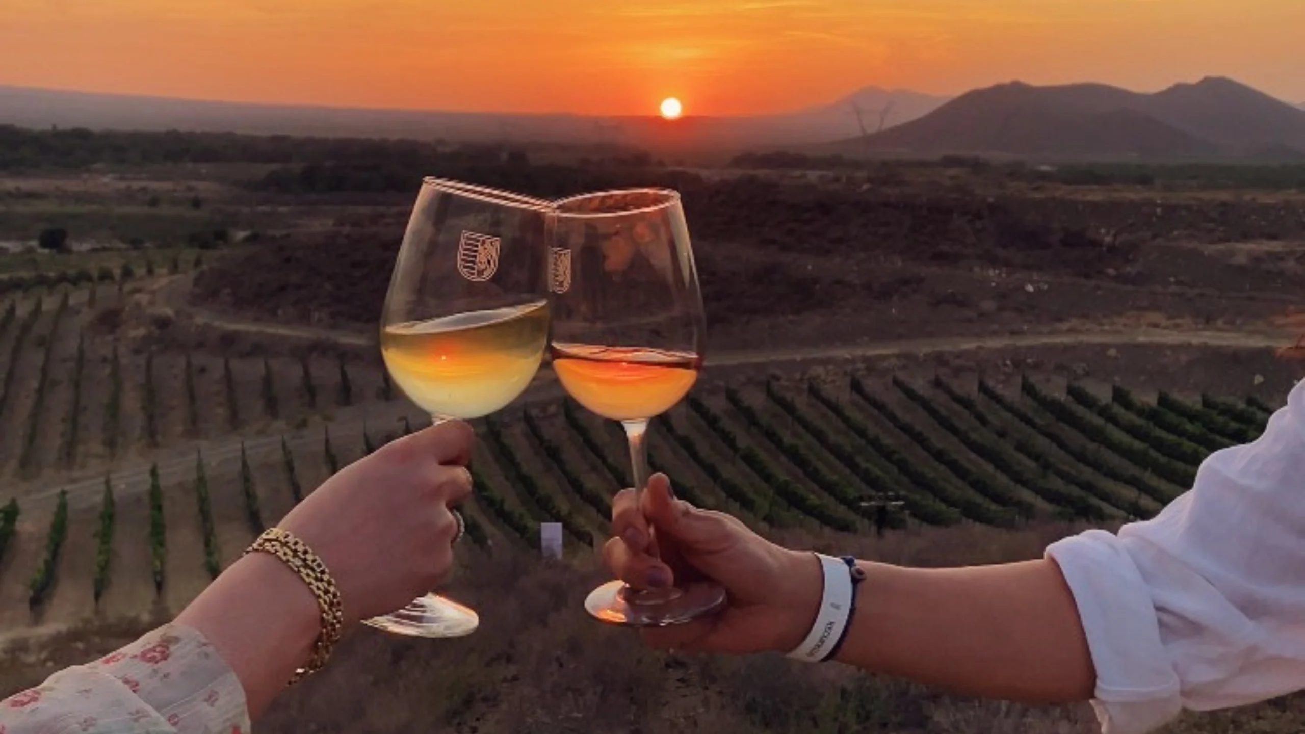 RGMX, fiestas de la cosecha: vinos del corazón de Parras, cuna del vino en América