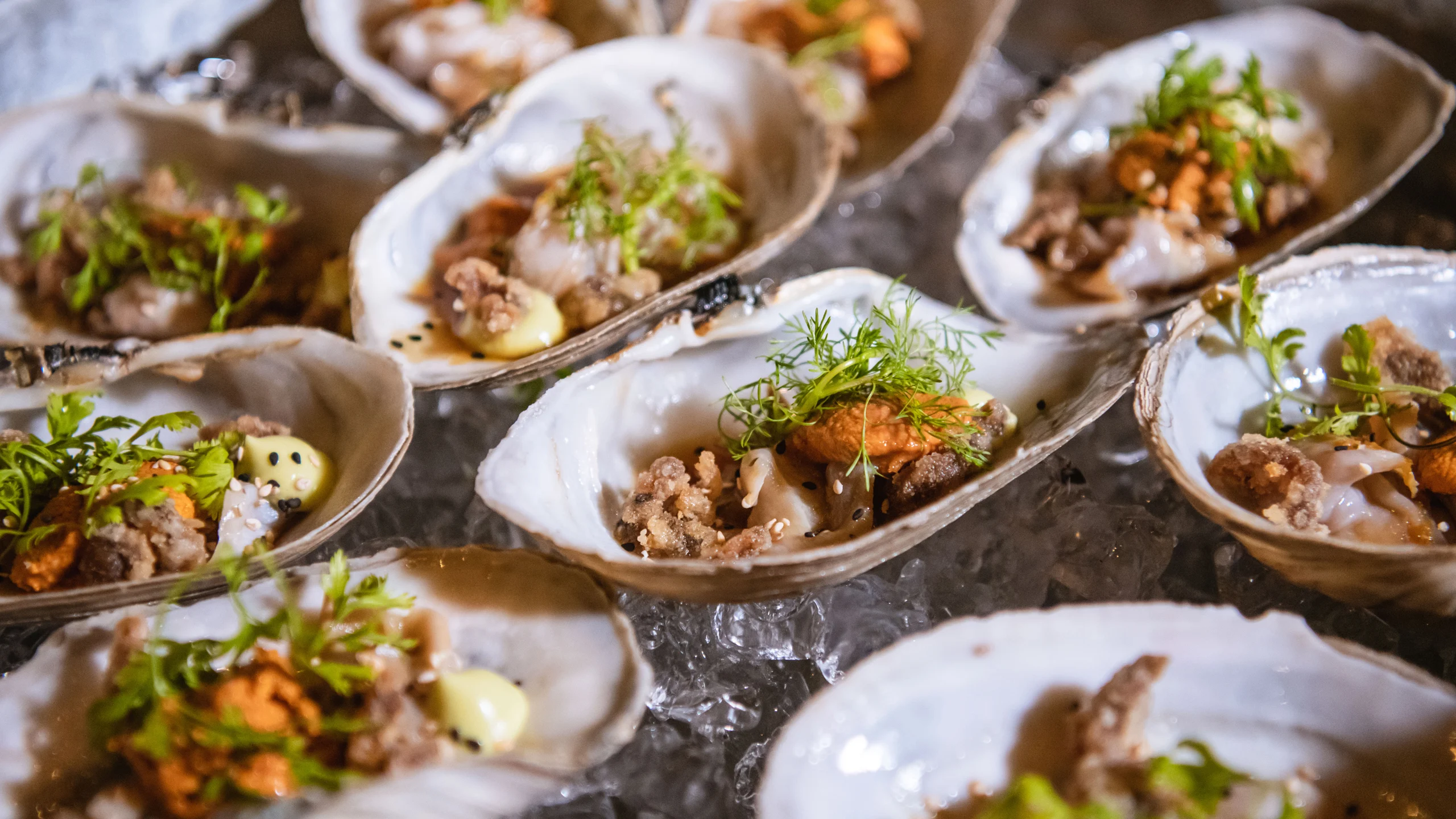 Rosewood Mayakoba reúne a chefs para promover la pesca sustentable