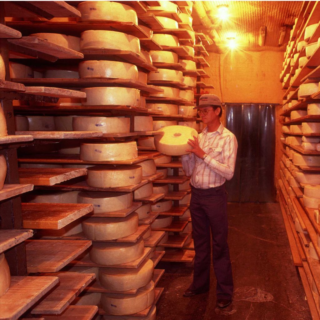 queso menonita