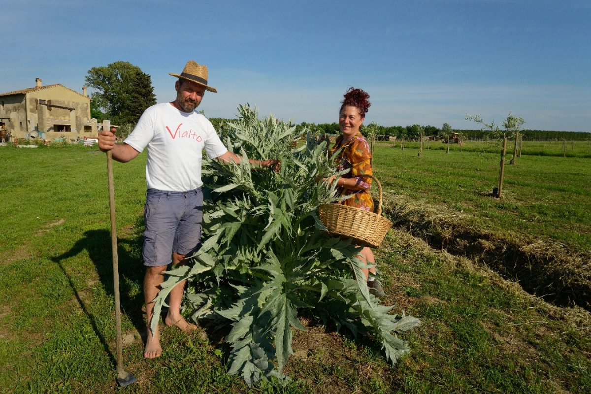 Granja Vialto | Foto: Vialto Farms