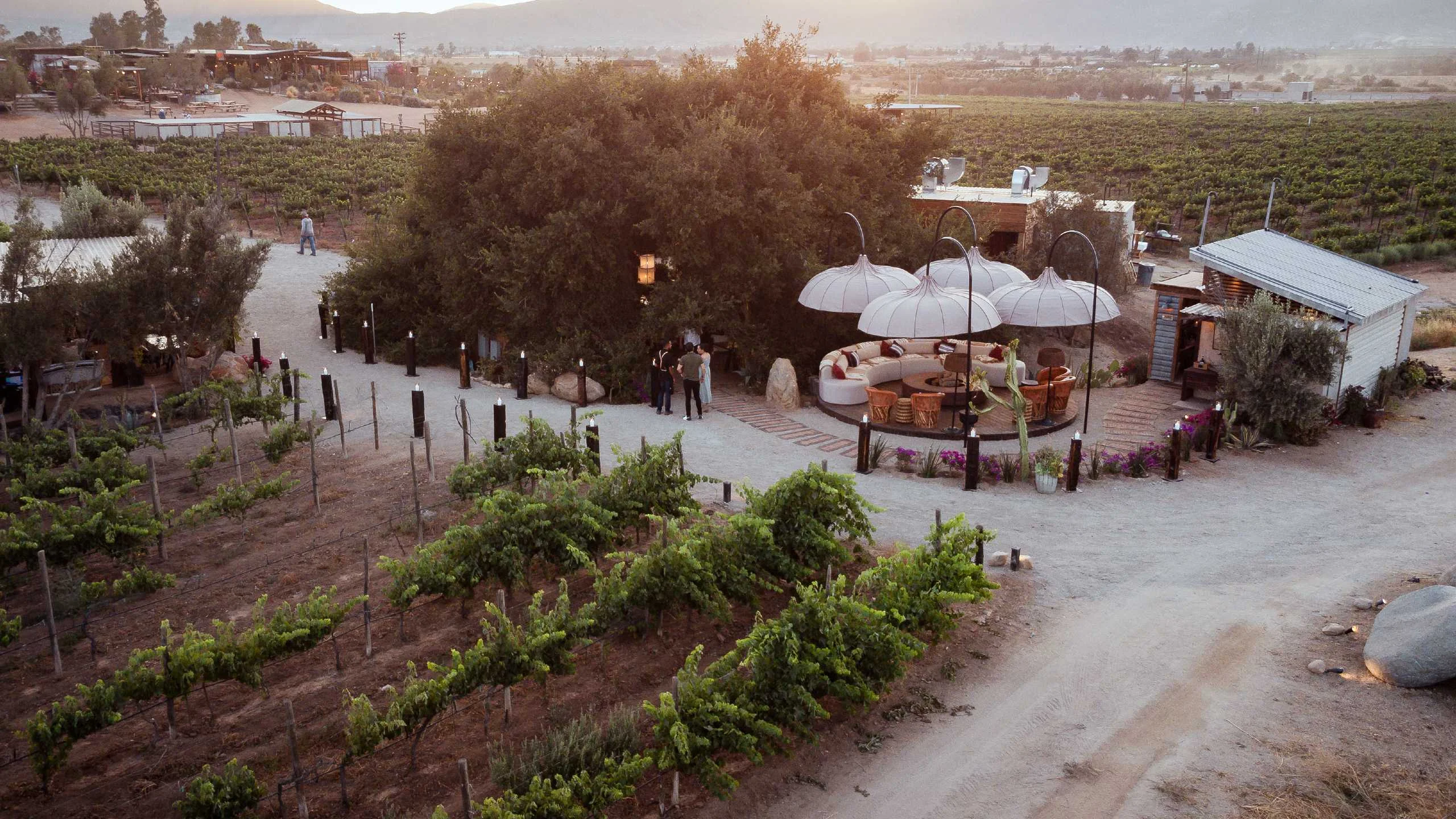 Finca Altozano y Animalón celebran su aniversario