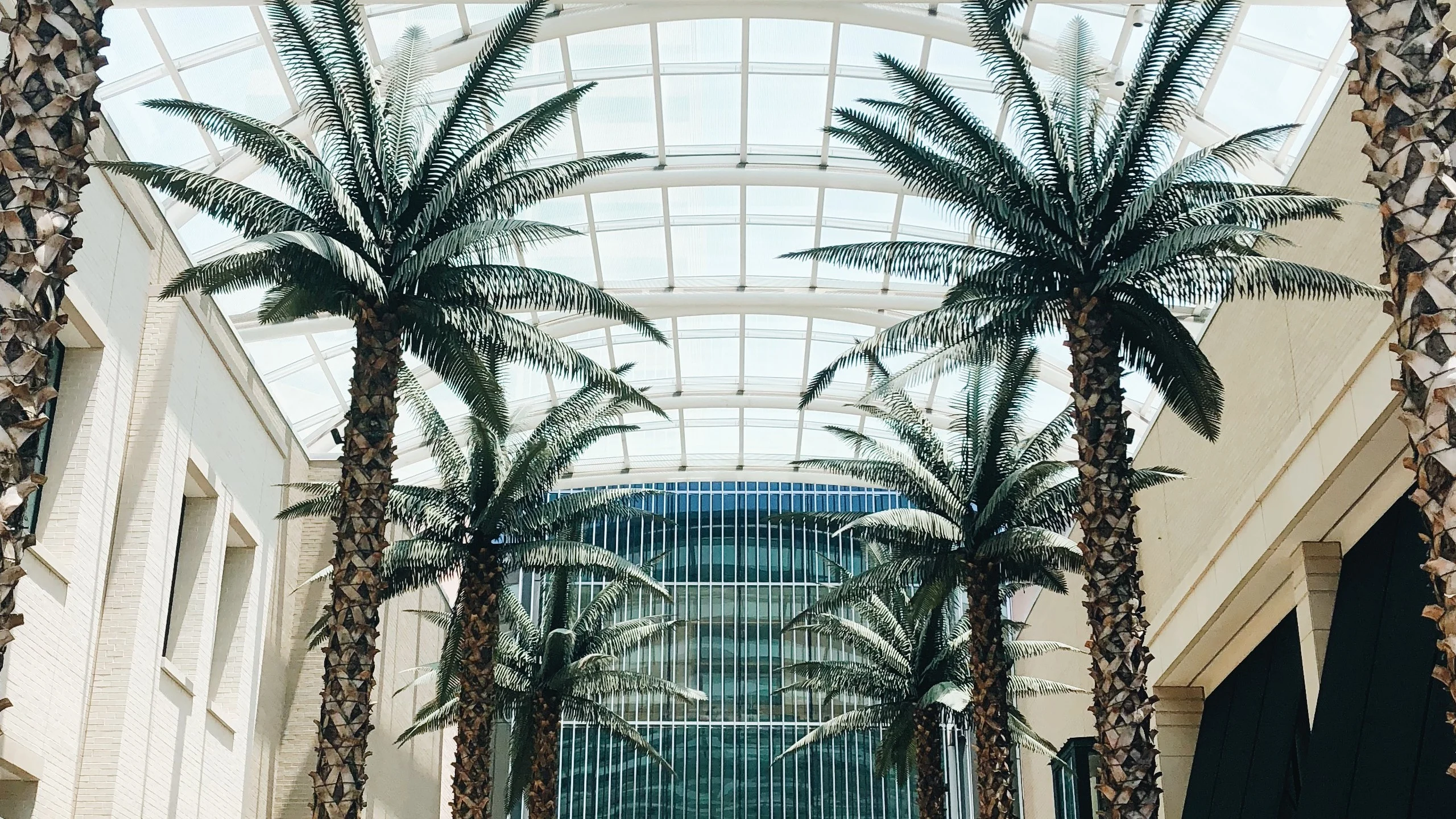 Luxury Global celebra a México
