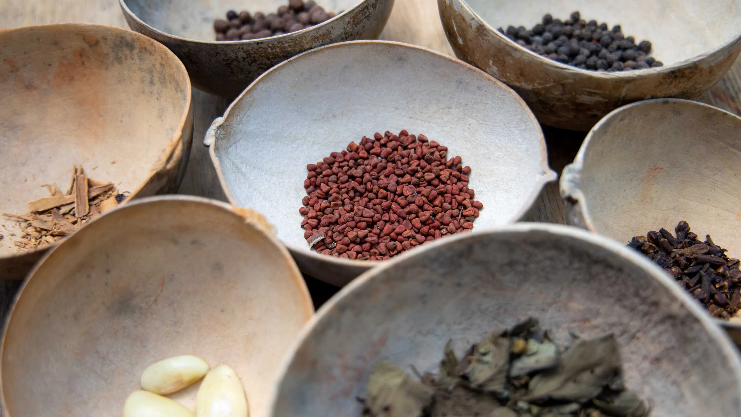 Sabores de Yucatán: el festival que reunió a los mejores chefs de Latinoamérica