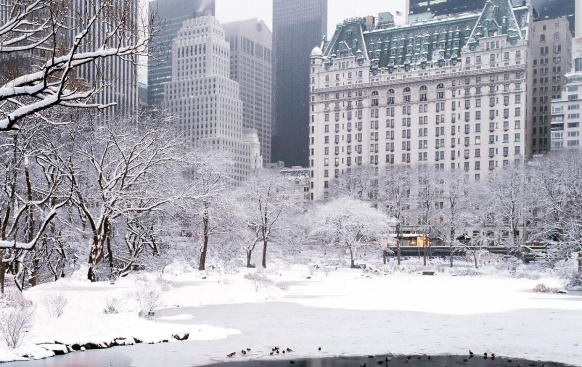 Central Park | Foto: Cortesia