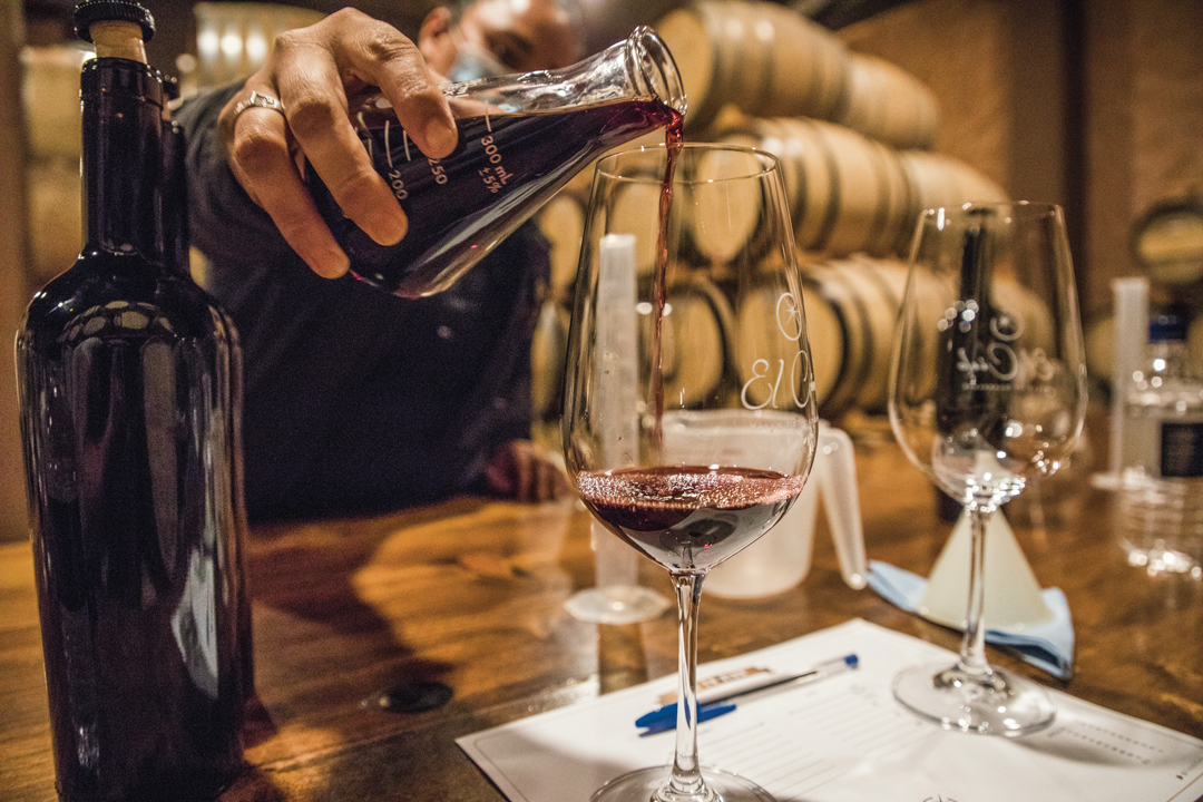 Clases para elaborar tu propio vino con los enólogos de El Cielo