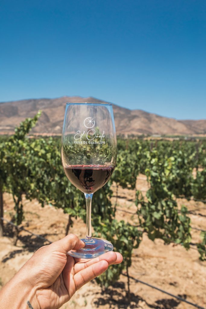 Copa de vino de El Cielo, en el Valle de Guadalupe