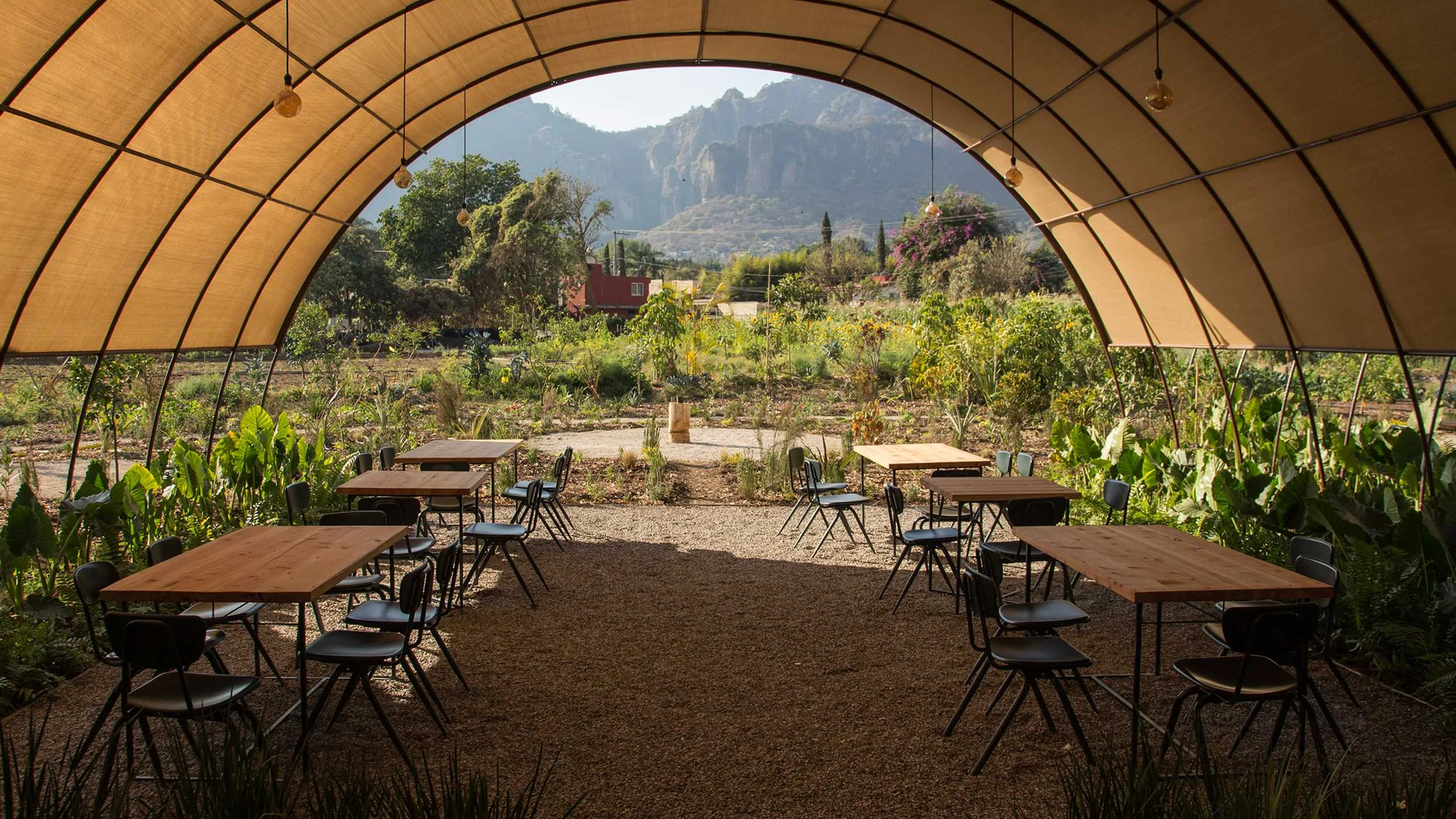 Parcela, menú de la milpa a la mesa en Tepoztlán