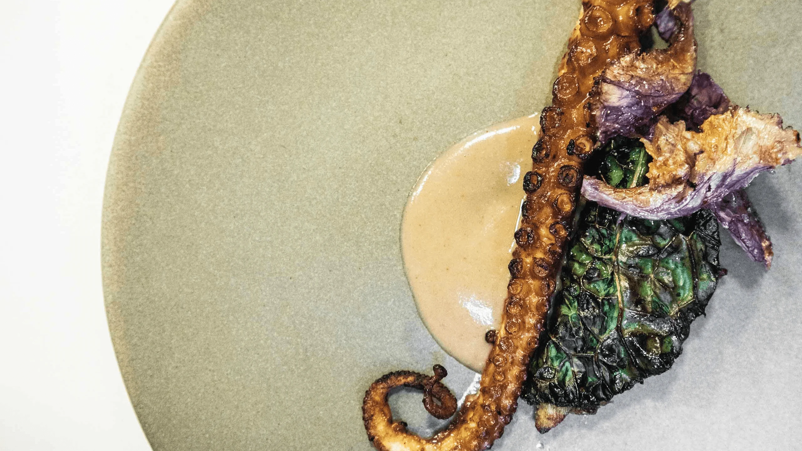 Pulpo maya