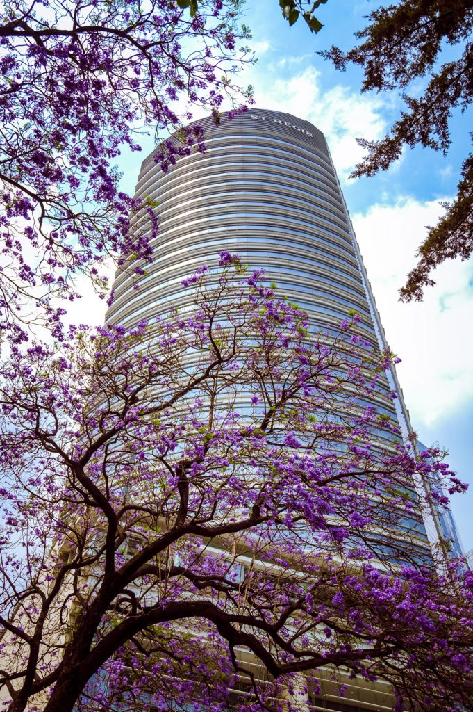 St. Regis Mexico City | Foto: Cortesía