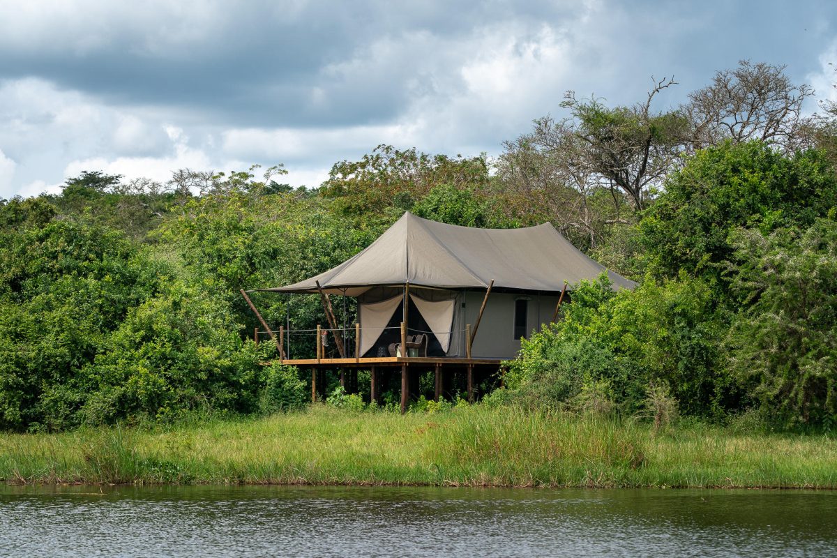 Wilderness Magashi