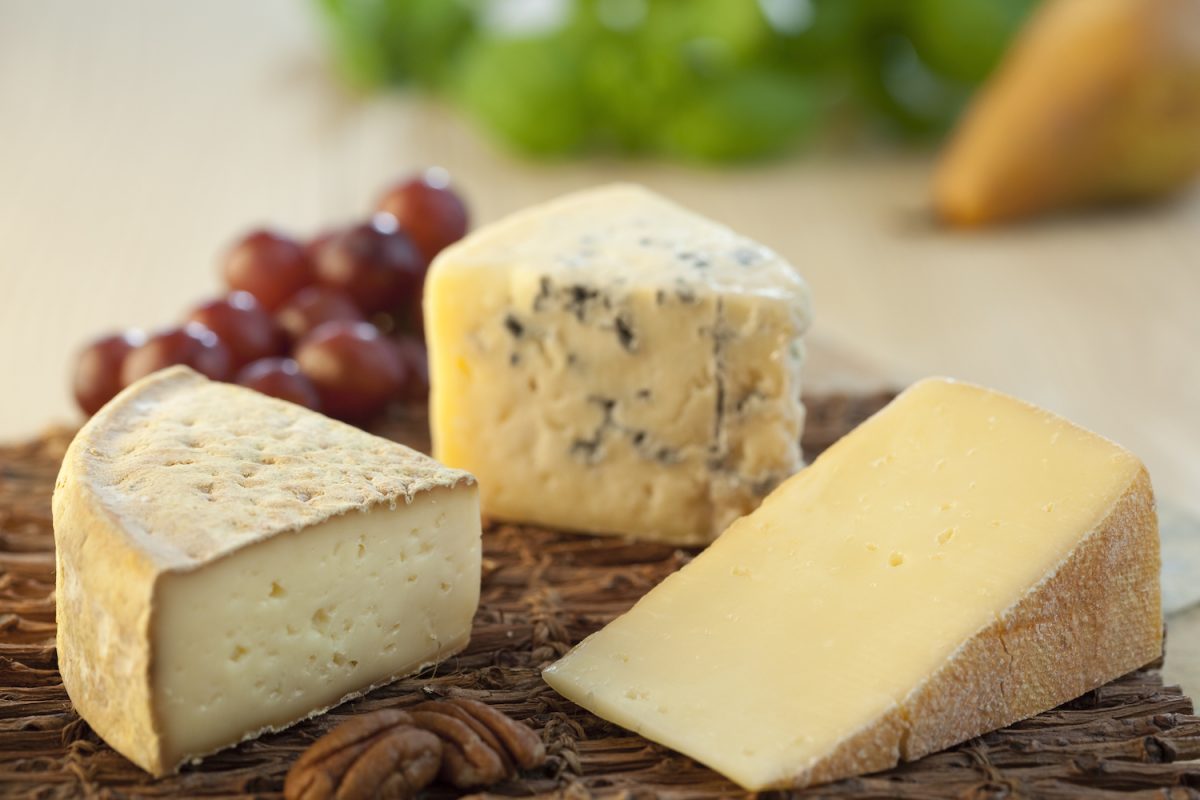 Cata de queso | canada