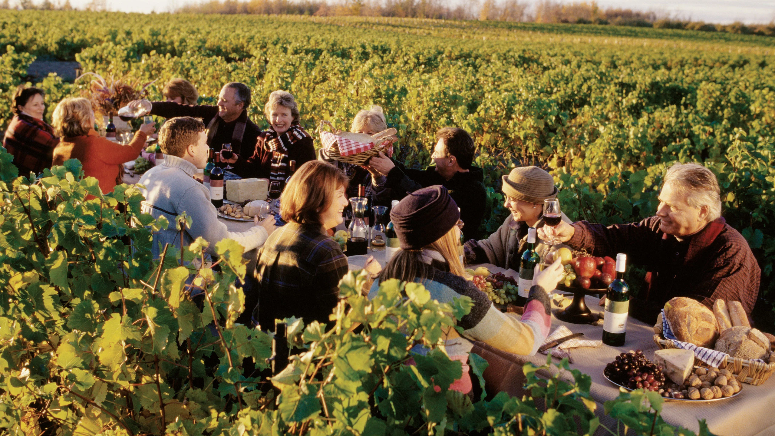 5 rutas gastronómicas para visitar en Québec 5 rutas gastronómicas para visitar en Québec