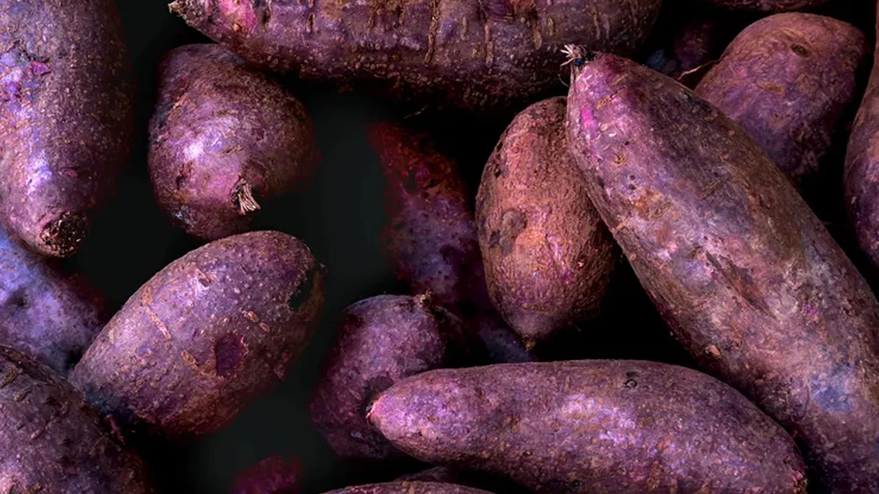 ¿Qué es el ube? Un ingrediente con profundas raíces en la cocina filipina ¿Qué es el ube? Un ingrediente con profundas raíces en la cocina filipina