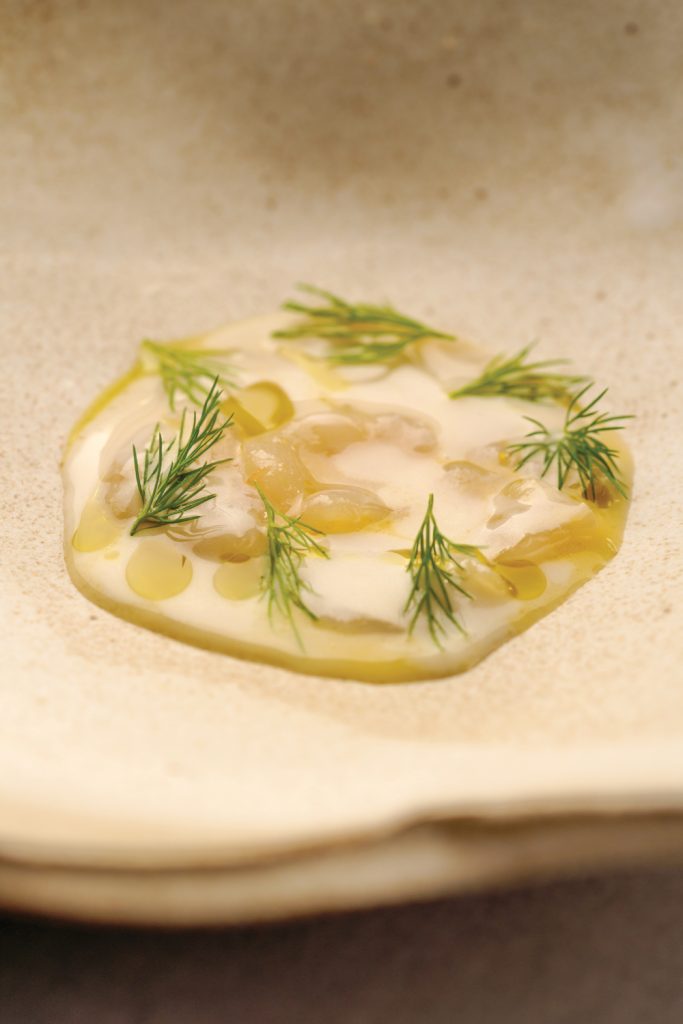 Scallop-cashew-nut-milk-and-native-honey_Credits-Rubens-Kato-1