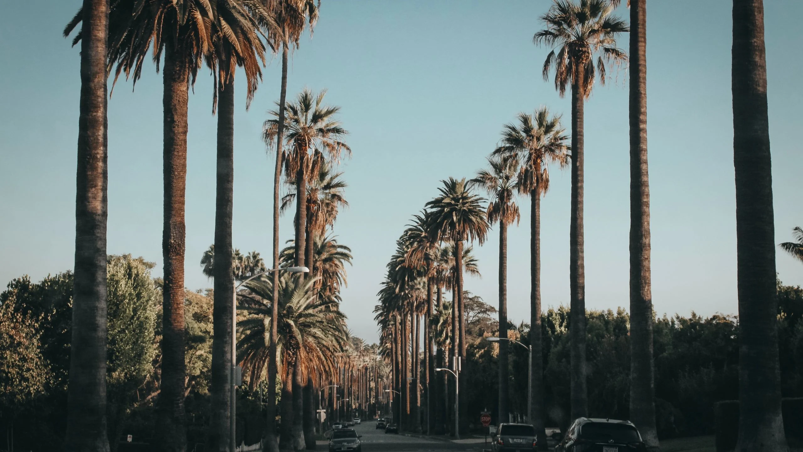 5 reconocidos lugares para comer en Beverly Hills