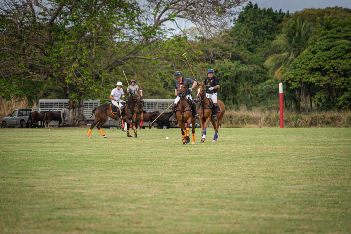 El polo es uno de los deportes más populares de Barbados
