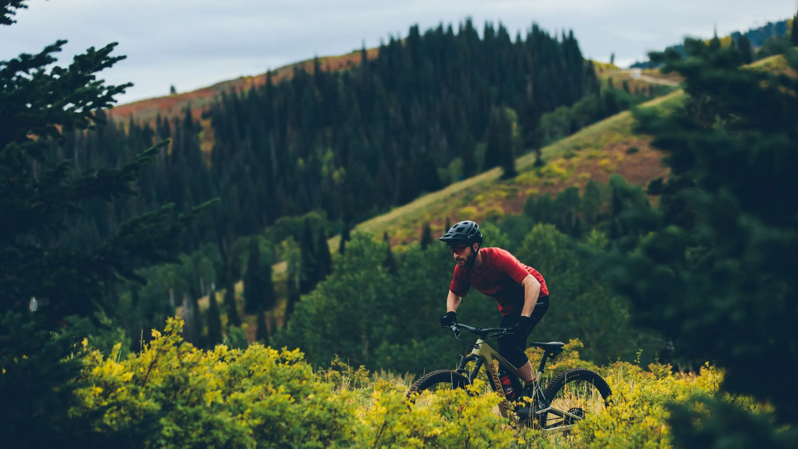 Park City Utah: el lugar para desconectarse
