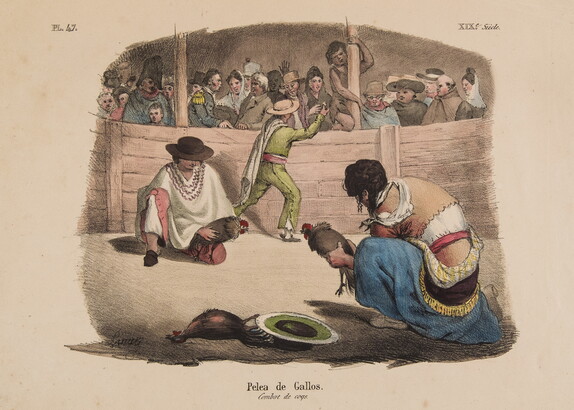 Pelea de Gallos